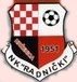 nk_radnicki_grb